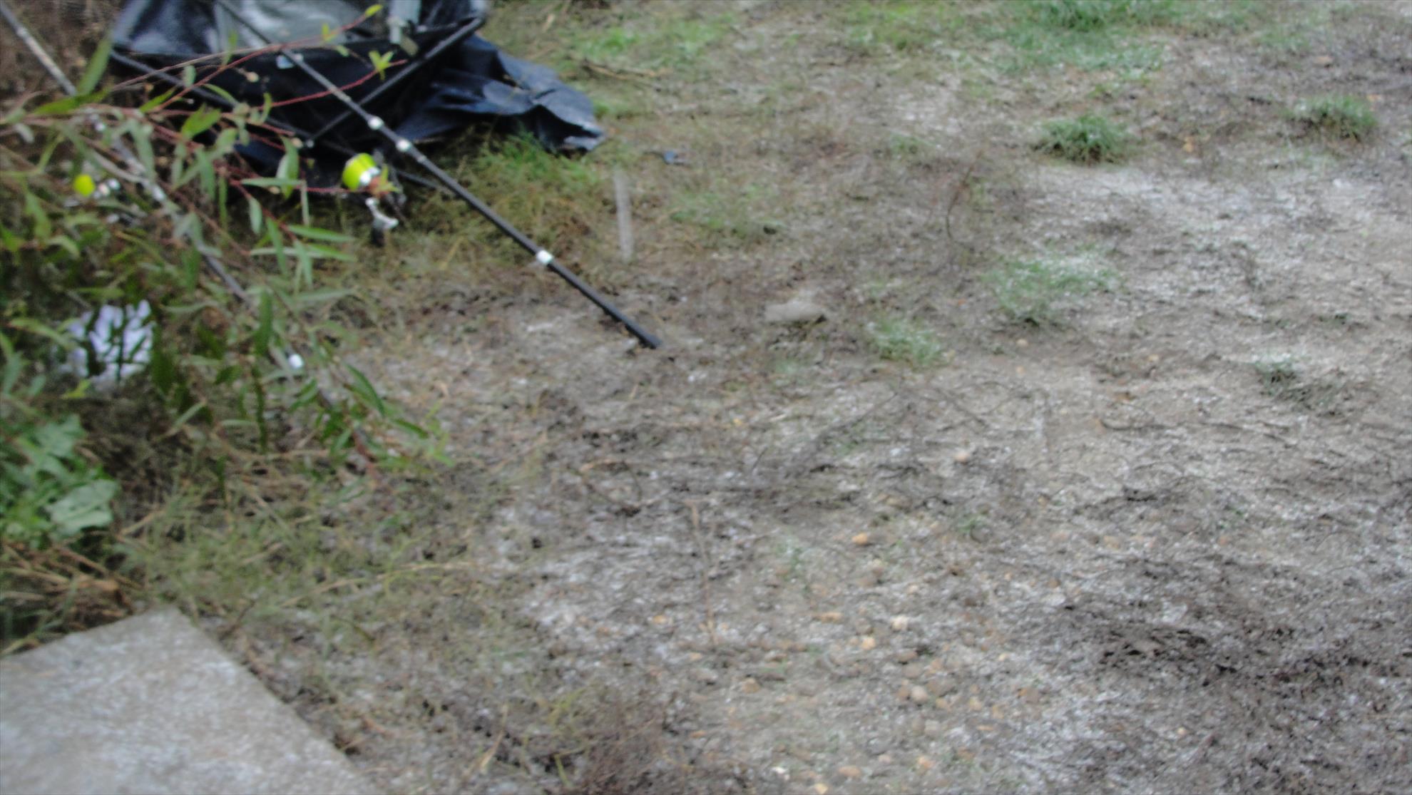 Magura 9 25 - 26 oct. - dsc04642.JPG